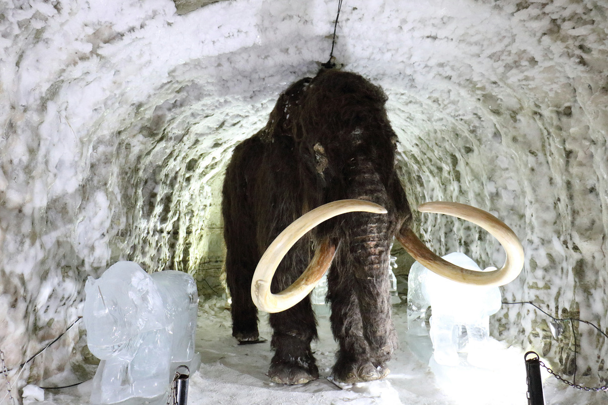 Mammut i Sibirien