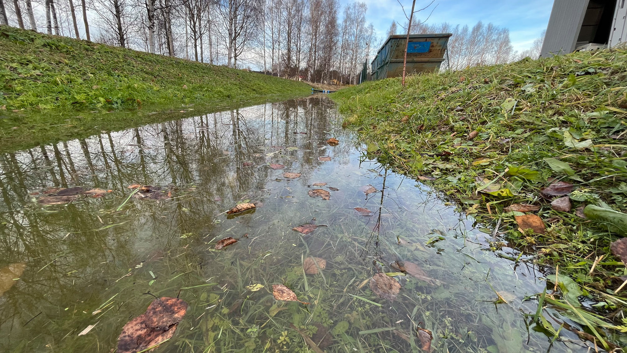 Bilden visar ett vattendrag med gräs på båda sidor.